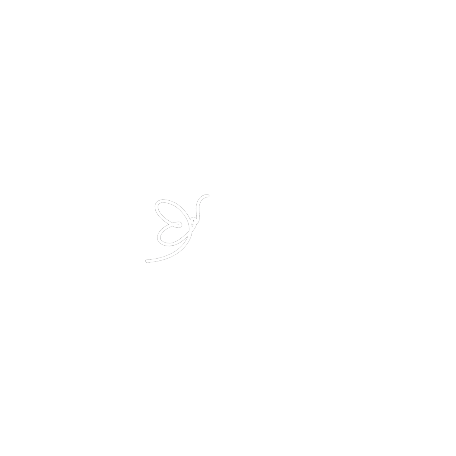 Bourne Transformation Group